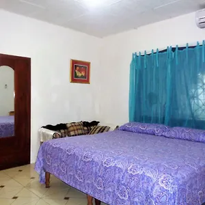 Yard Style Guest house Kingston